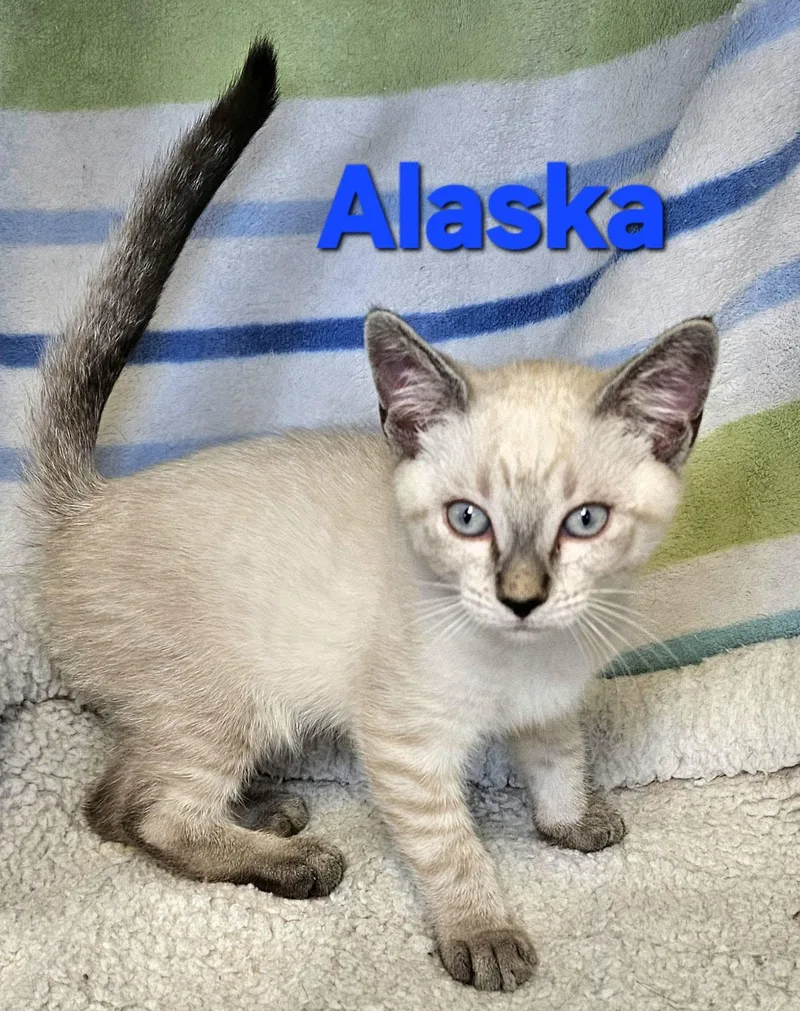 Alaska