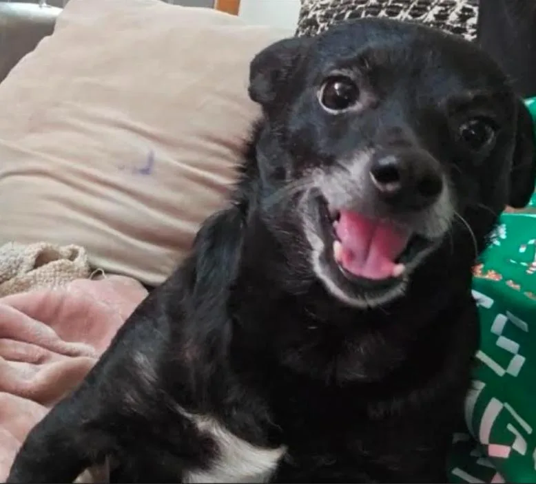 Rocky In Tx thumbnail 3