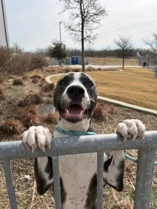 Mama Mashed Potatoes thumbnail 2