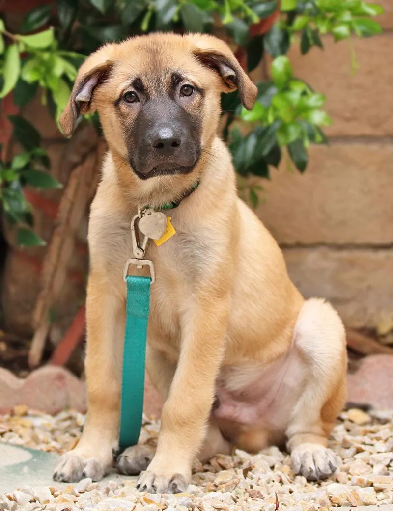 Grizzly Von Guttenberg thumbnail 2