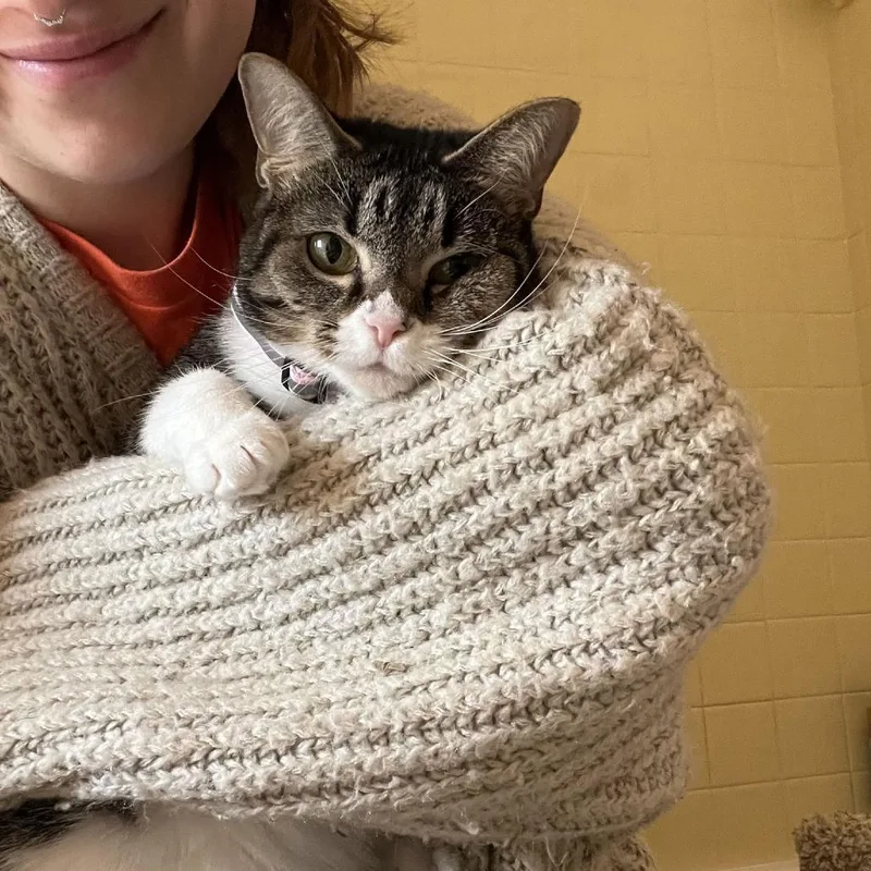 Cleo thumbnail 4