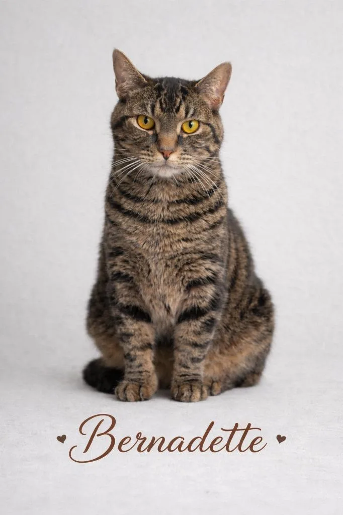 Bernadette thumbnail 3