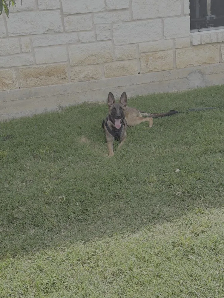 Winnie Located In Oklahoma