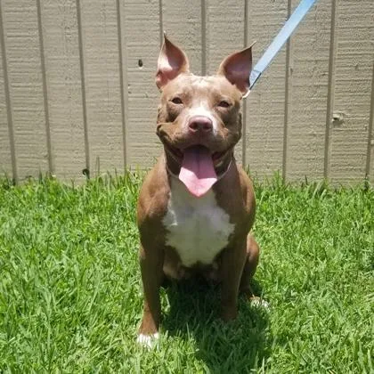 Ruby Suzanne thumbnail 2