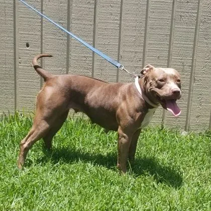 Ruby Suzanne thumbnail 3