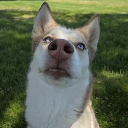 Zoey thumbnail 3