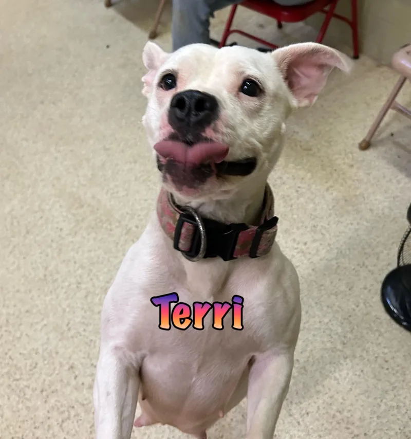 Terri thumbnail 3