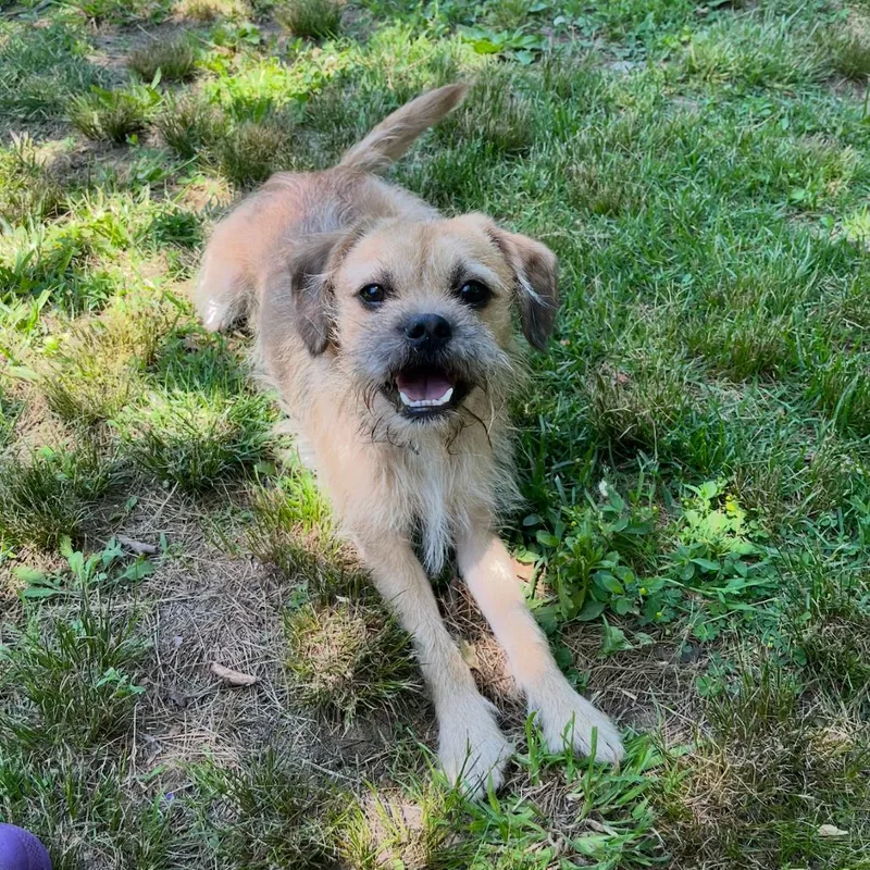 Max
