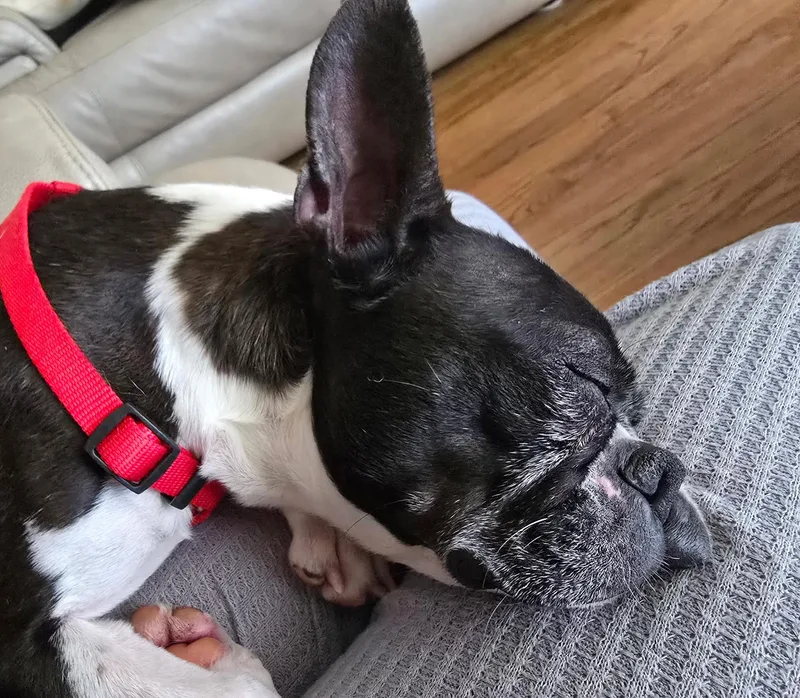 Luna In Ne thumbnail 2