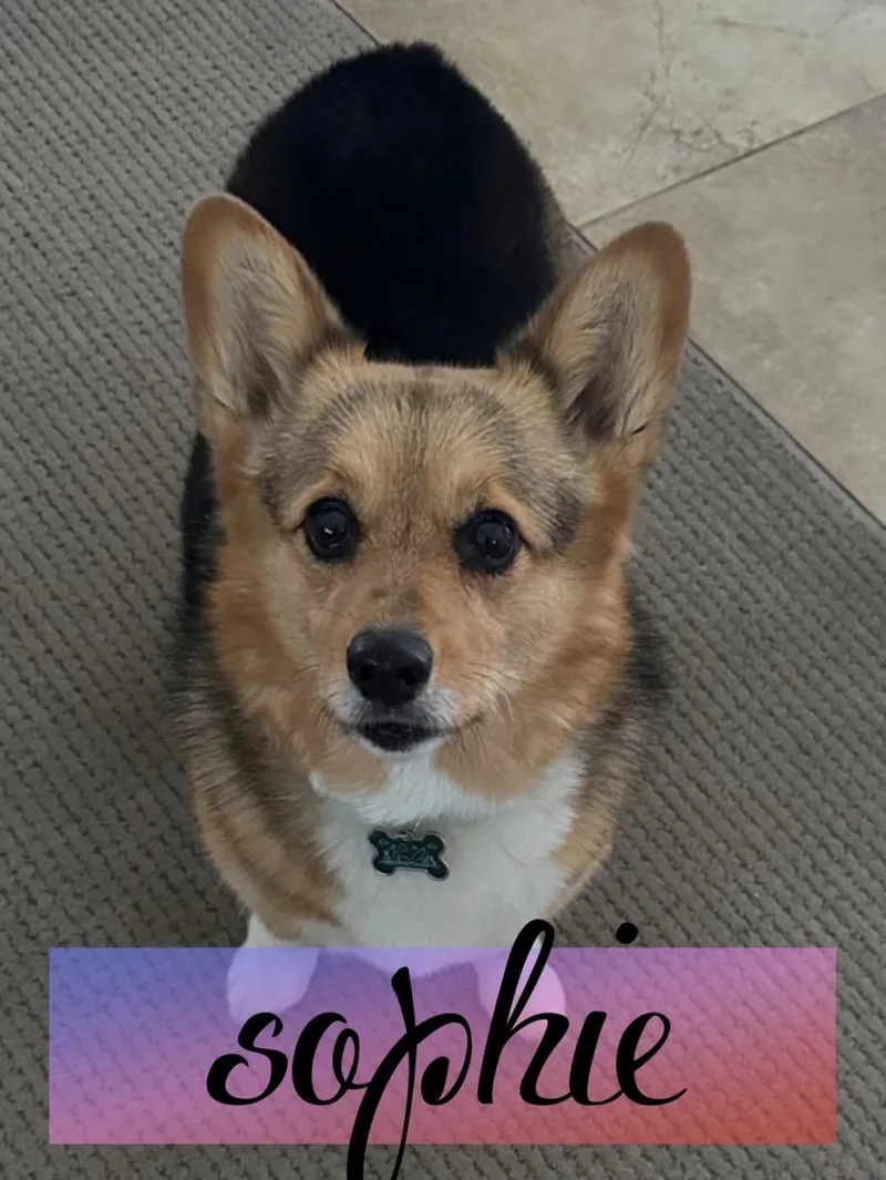 Sophie