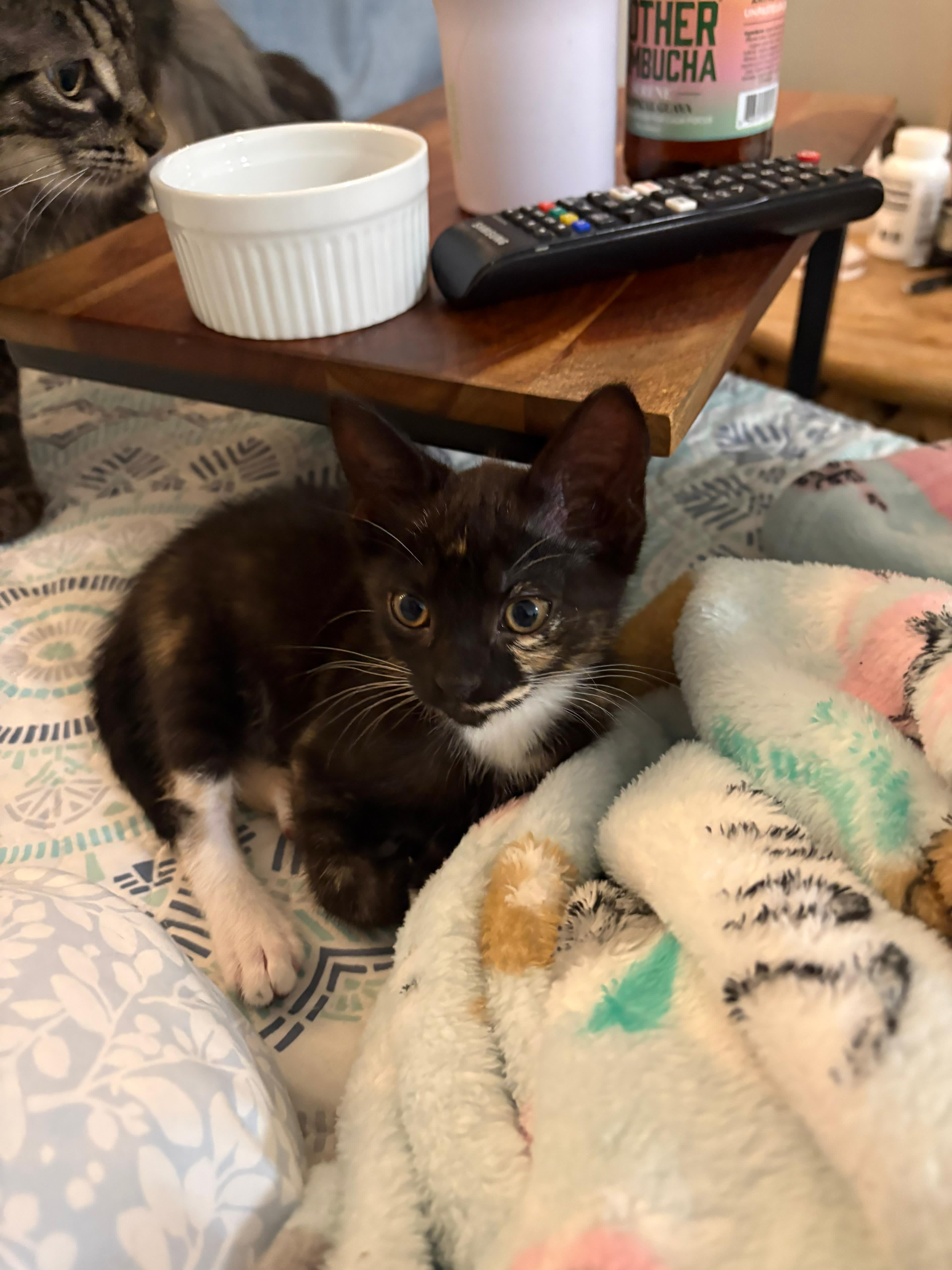 Snow White thumbnail 4