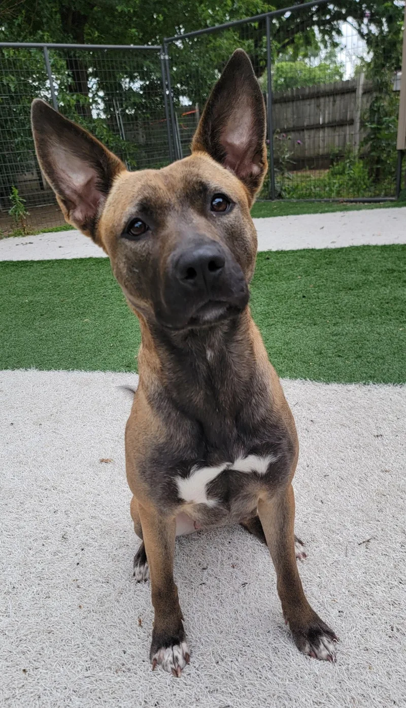 Princess thumbnail 3