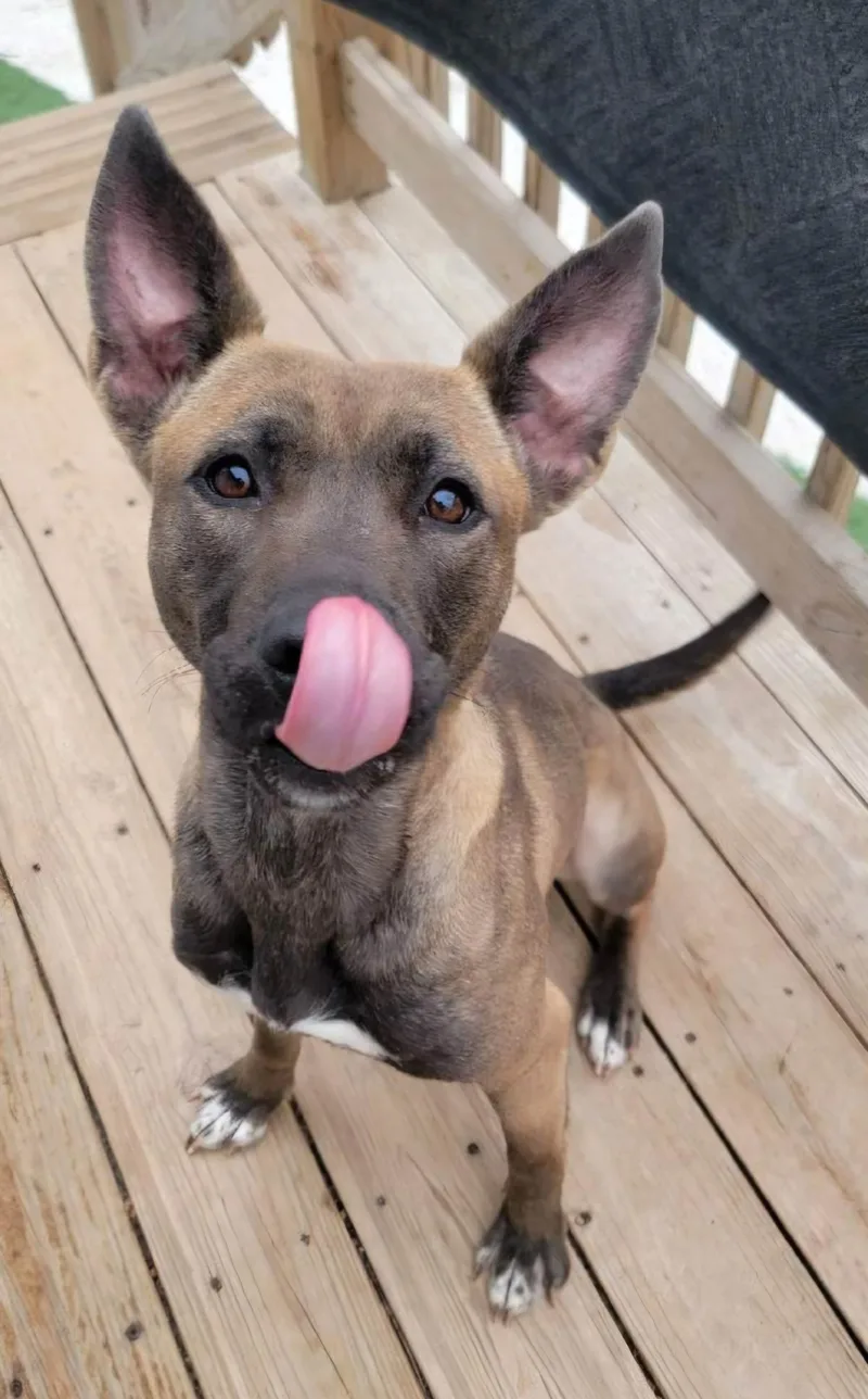 Princess thumbnail 4