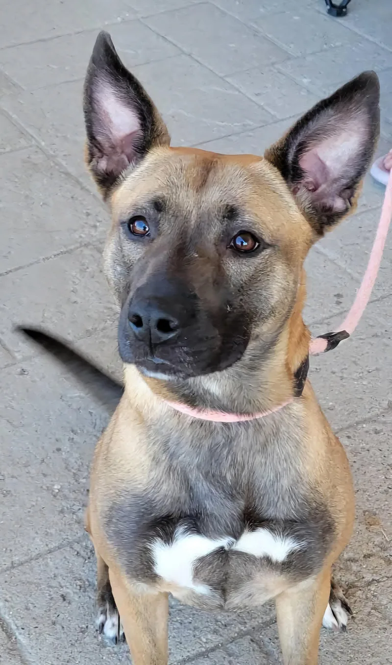 Princess thumbnail 5