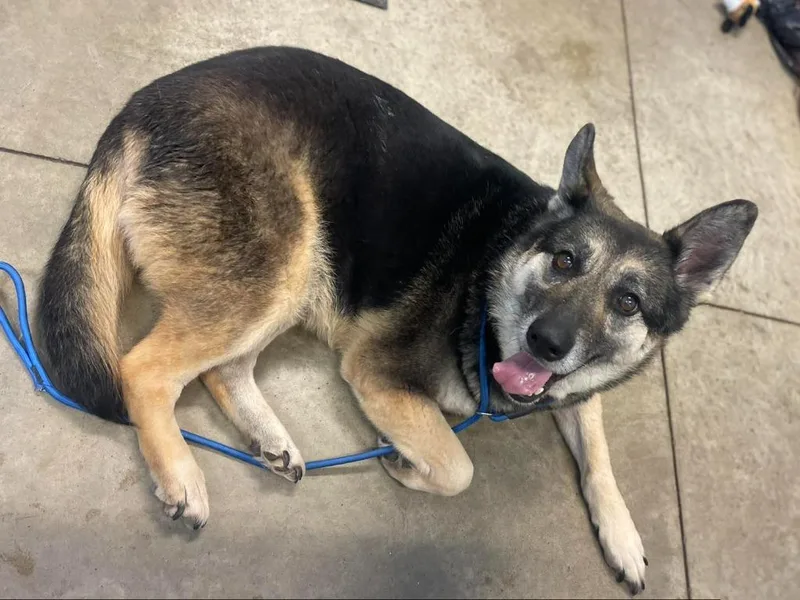 Ellie May thumbnail 2