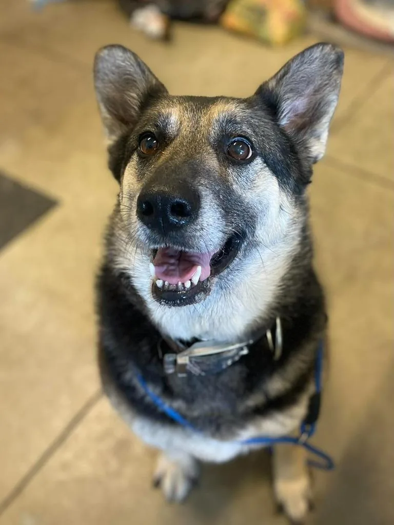 Ellie May thumbnail 3