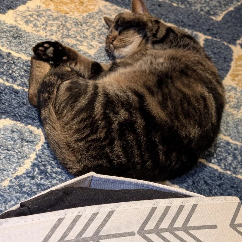 Mr. November thumbnail 3