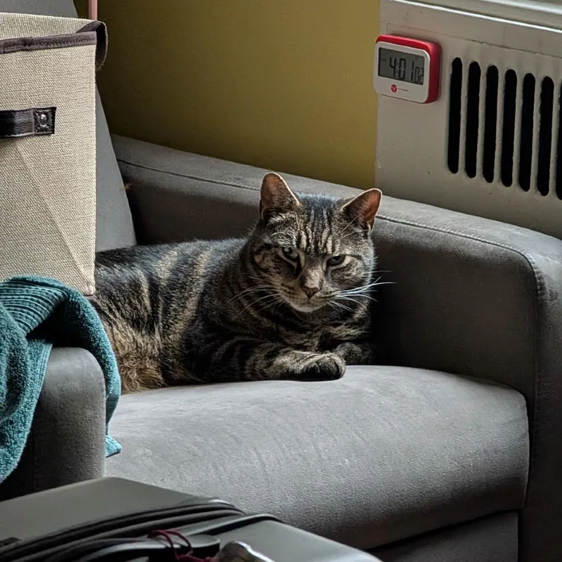 Mr. November thumbnail 5