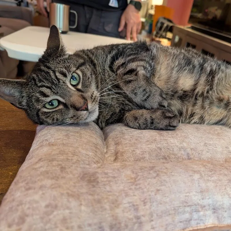 Mr. November thumbnail 6