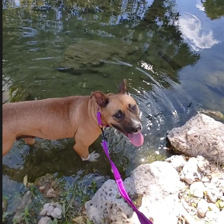 Nala thumbnail 2