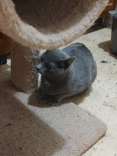 Ella Mae thumbnail 2