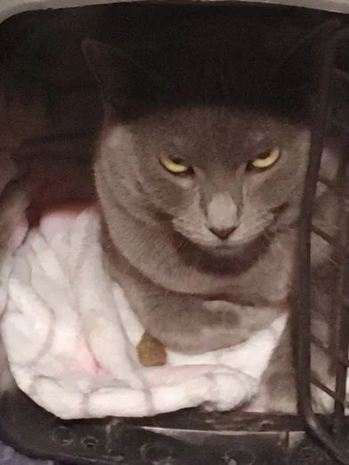 Ella Mae thumbnail 3