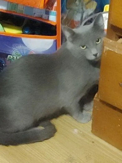 Ella Mae thumbnail 4