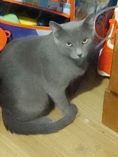 Ella Mae thumbnail 5