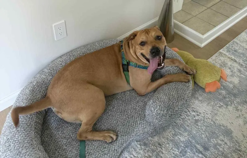 Sos! Mateo  The thumbnail 6