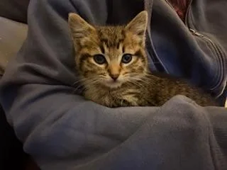 Butterfinger thumbnail 6