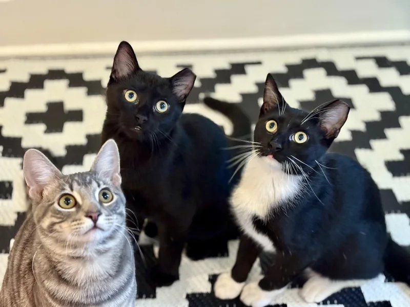 Owen Wilson thumbnail 2