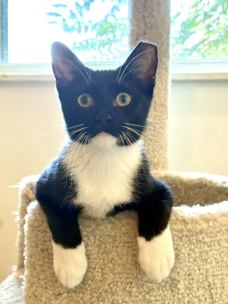 Owen Wilson thumbnail 3