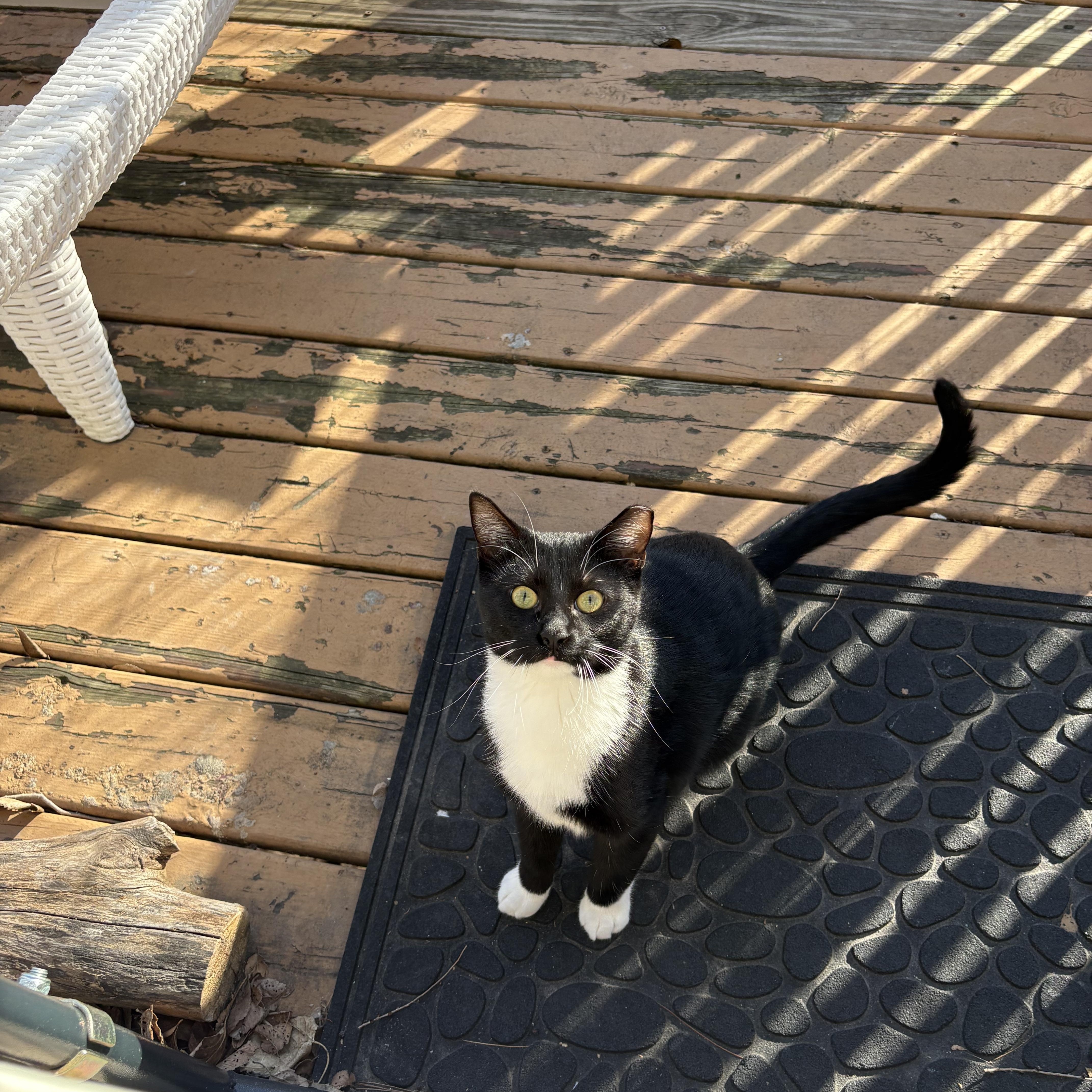 Owen Wilson thumbnail 4