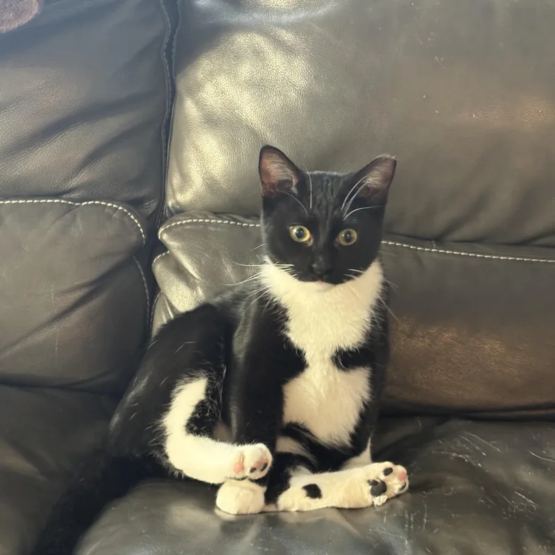 Owen Wilson thumbnail 5