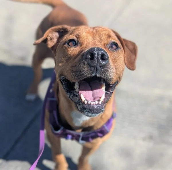 Snow White thumbnail 2