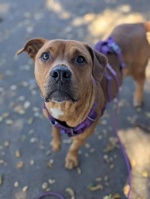 Snow White thumbnail 3