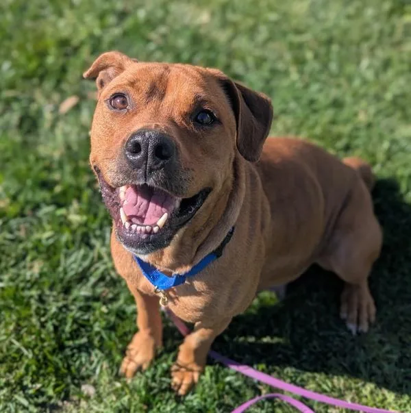 Snow White thumbnail 4