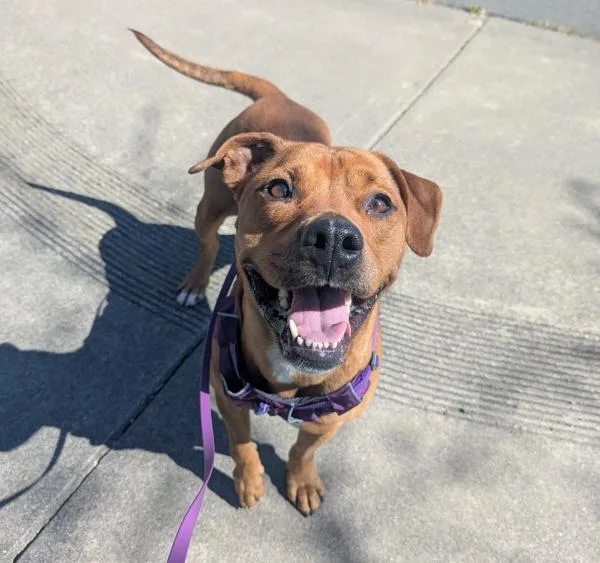 Snow White thumbnail 5