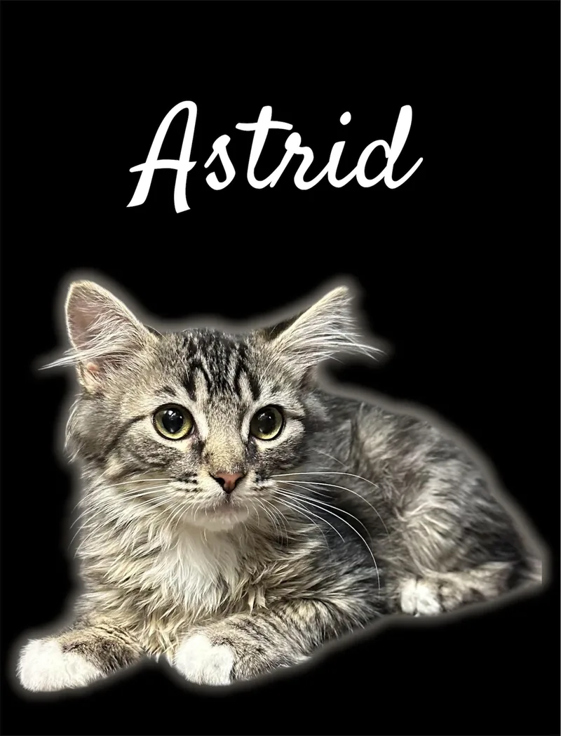 Astrid