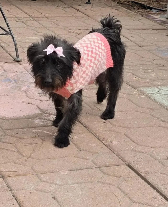 Kika