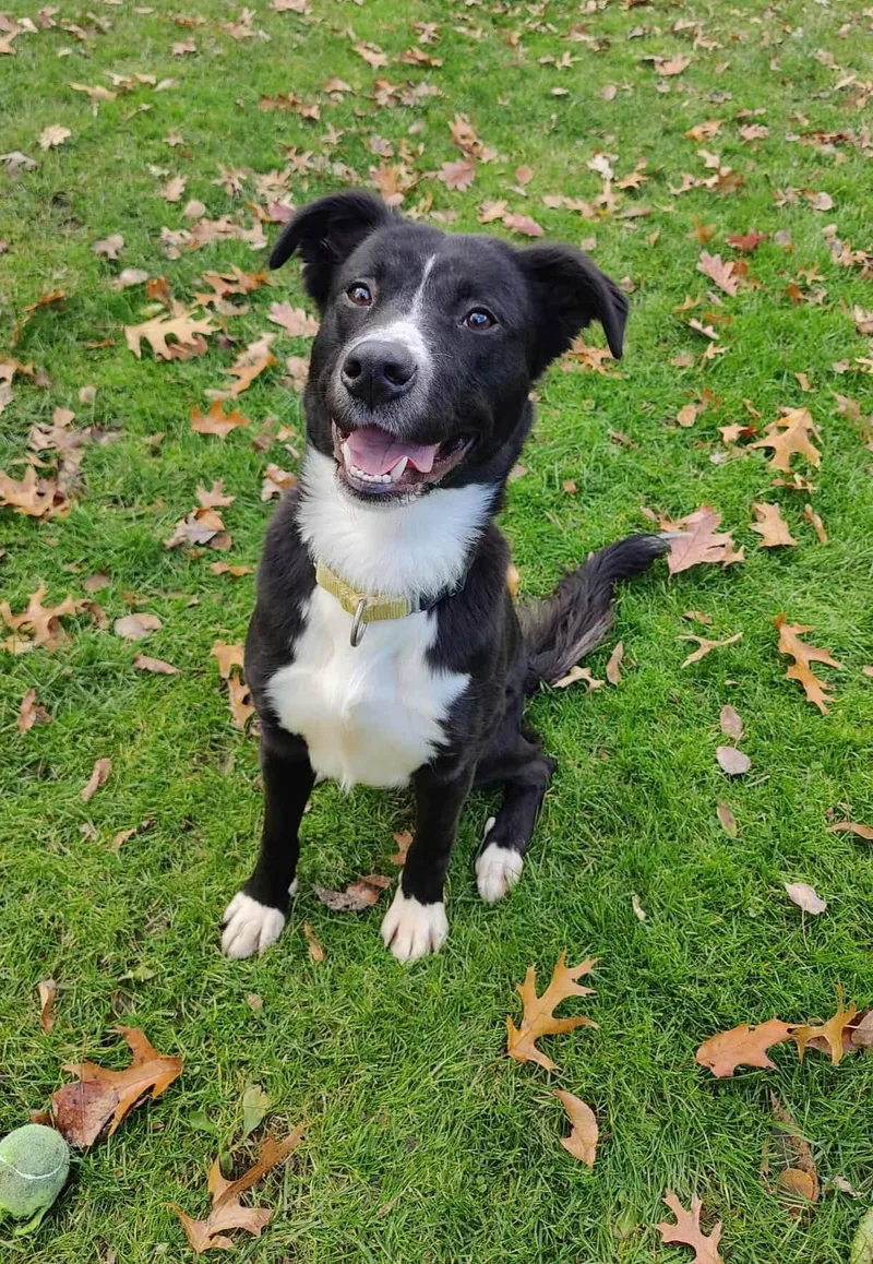 Charlotte thumbnail 2