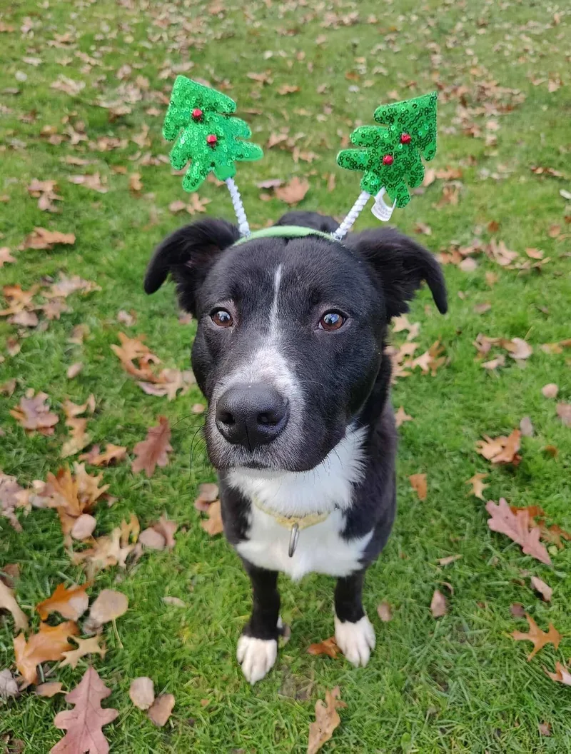 Charlotte thumbnail 3