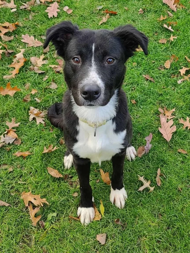 Charlotte thumbnail 4