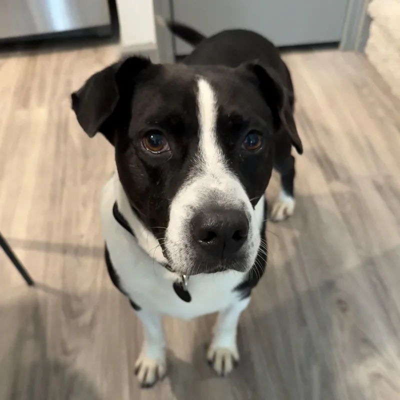 Governor thumbnail 2