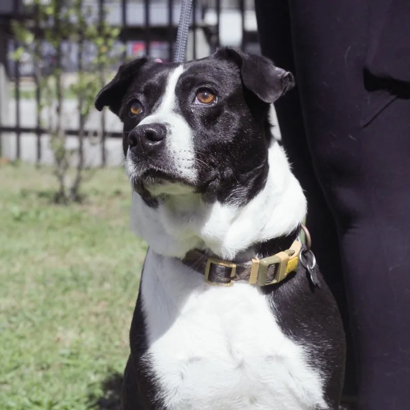 Governor thumbnail 6