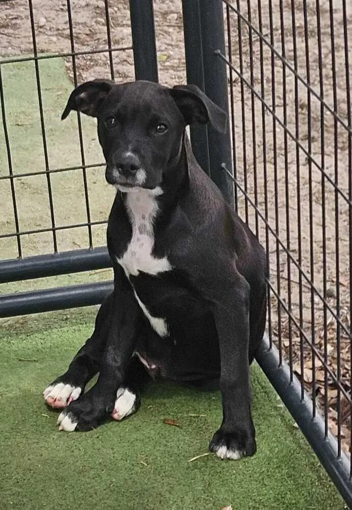 Kentucky thumbnail 2