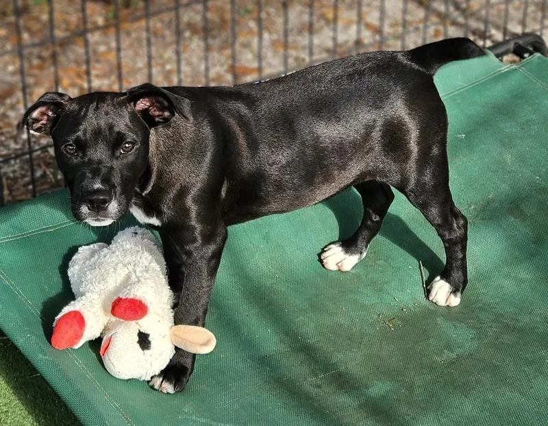 Kentucky thumbnail 3