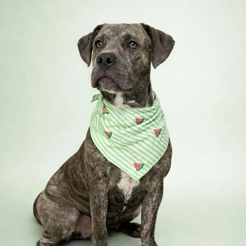 Jamie Foxx thumbnail 3