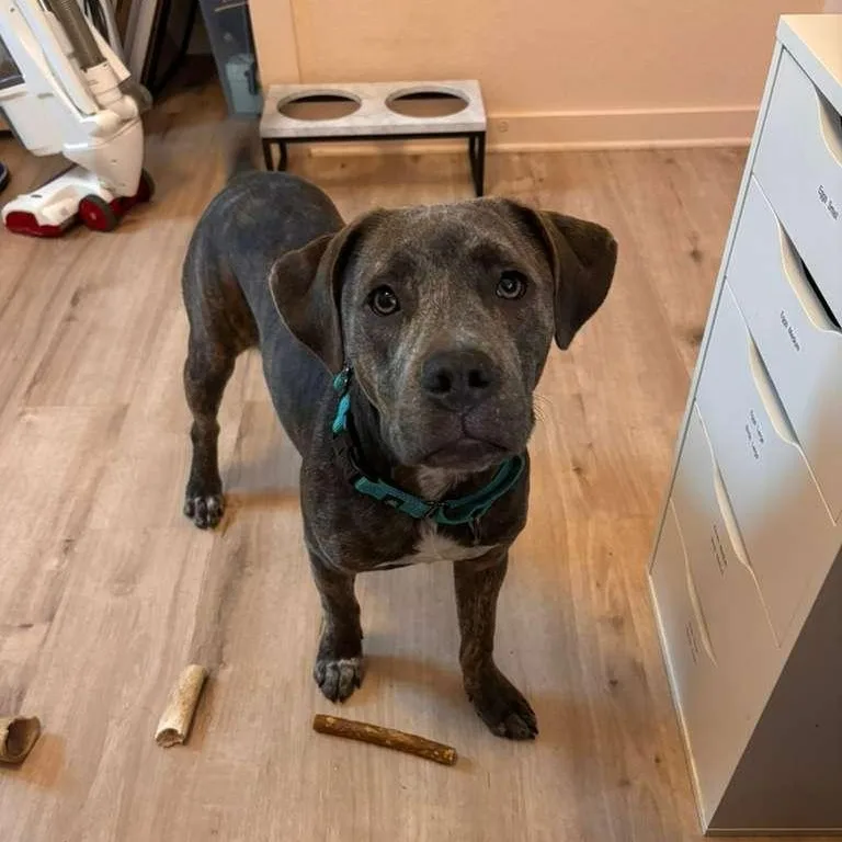 Jamie Foxx thumbnail 5