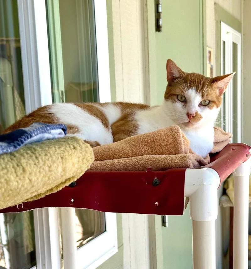 Boy George thumbnail 3